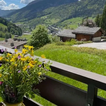 Appartement T2 + Coin Nuit Au Grand-bornand, Parking Inclus - Fr-1-458-204 Le Grand-Bornand